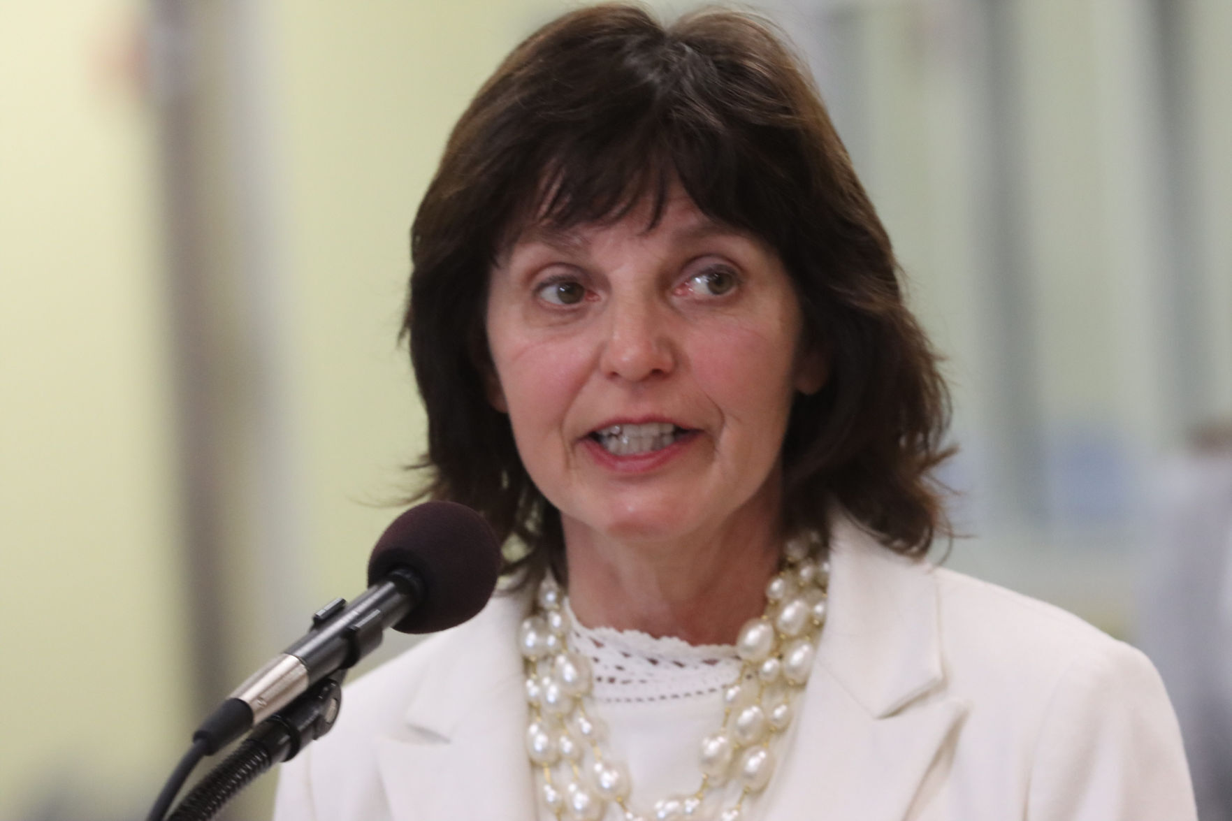 Sue Scherer 6 031721A.JPG